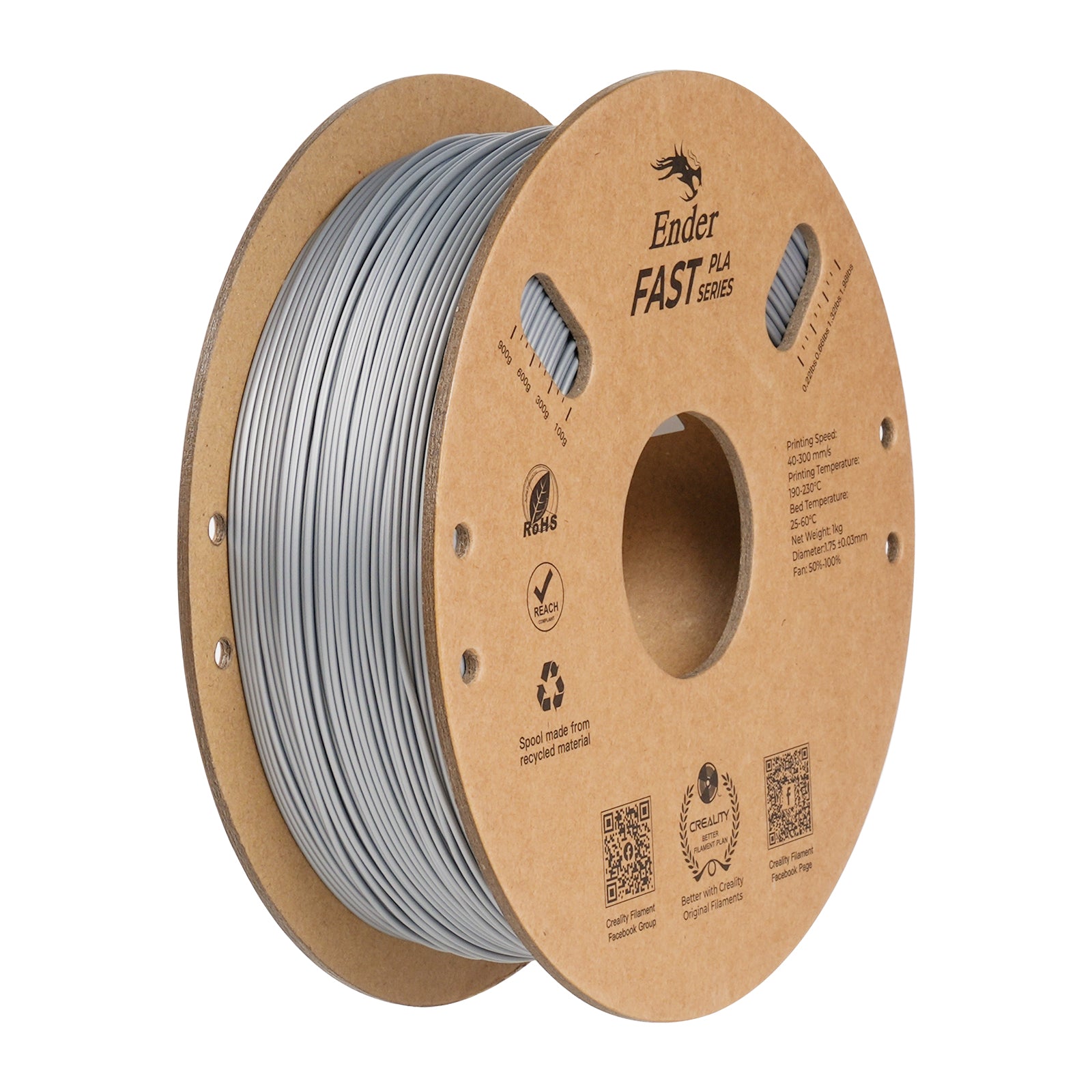 Filamento Creality Ender Fast PLA 1,75mm 1Kg Prata