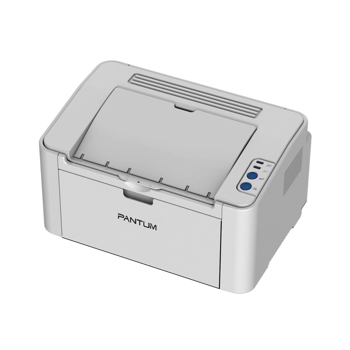 Impressora Laser Monocromática Pantum P2518 USB 22ppm 127V